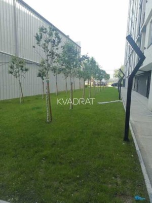 Продаётся, Квартира